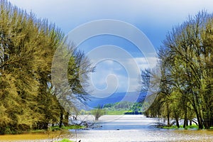 Spring rains flood the already saturated wetlands on Sauvie Isl photo