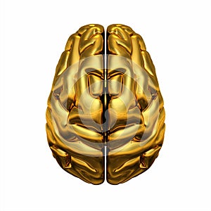 Golden human brain