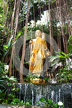 Golden image of Buddha is standing in a bush