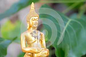 Golden Image of buddha