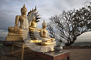 Golden image of buddha