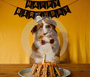Golden inscription happy birthday on black flags and cake with cookies and candle with number 1. Concept of pet as