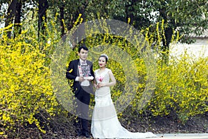 By golden jasmine flowers, a couple shot wedding photo