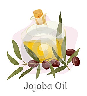 Golden Jojoba Oil in Vessel, Branch with Drupes