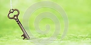 Golden key on green background, possibility, success concept, web banner