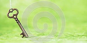 Golden key on green background, possibility, success concept, web banner photo