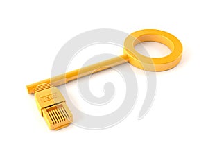 Golden key with rj45 plug