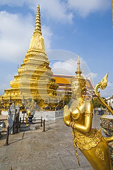 A golden kinaree, a mythology figure, is watching the temple