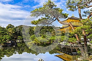 golden kinkakuji temple with reflections in the pond