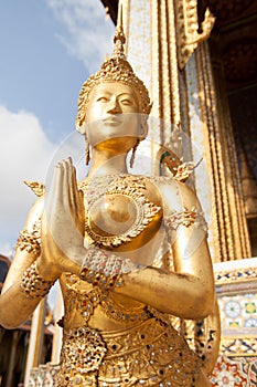 Golden Kinnari statue at Temple of Emerald Buddha (Wat Phra Kaew) in Grand Royal Palace. Kinnari is