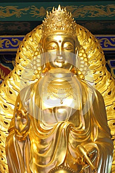 The golden kuan