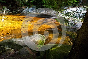 Golden lagoon on mountain river. Czech republic, river Mumlava.