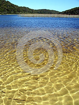 Golden lake on Fraser Island photo