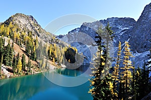 Golden Larch trees and Blue Lake Trail