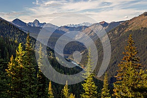 Golden Larches at Frosty Mountain, Manning Park, BC, Canada