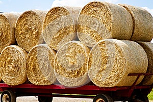 Freshly baled hay on a wagon