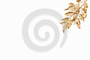 Golden laurel leaf over white background. Copy space