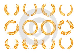 Golden laurel wreath. Award trophy with laurel leaves for competition victory, laurel branch border for roman heraldic