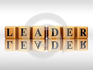 Golden leader with reflection