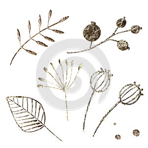 Golden leaf design elements. Decoration elements for invitation, wedding cards, valentines day, greeting cards. Isolated