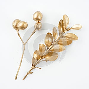 Golden leaf and fruit design elements. Decoration elements for invitation, wedding cards, valentines day, greeting cards. Isolated
