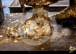 Golden leaf taped and Thai bath coin on Buddha foot statue