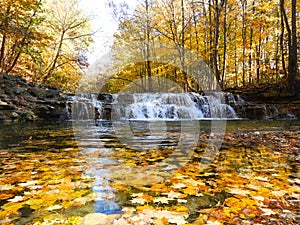 Golden leaves cover a stream and waterfall formed by glaciers