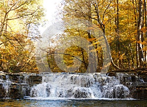 Golden leaves and waterfalls closeup