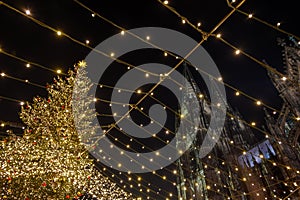 Golden light bulbs hang on wires and background of huge Christmas tree and Cologne Cathedral during Christmas Market.