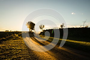 The golden light of the countryside path