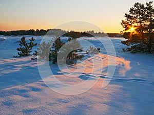 Golden light in frosty evening