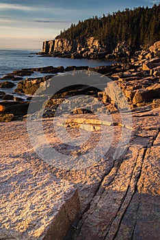 Golden light at otter point