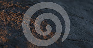 Golden Light on Rough Stone Texture.