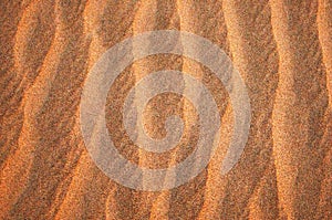 Golden light on the sand ripples