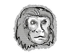 Golden Lion Tamarin Monkey Cartoon Retro Drawing