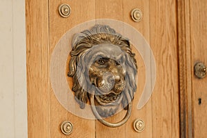 The golden lion on the wooden door