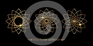 Golden Lotus flower set collection, floral mandala, stylized circular ornament, line art floral logo. Flower blossom symbols