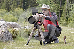 Golden-mantled Ground Squirrel Observing a Wildlife Photographer