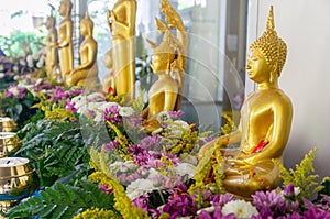 Golden of many Buddha Images among flowers