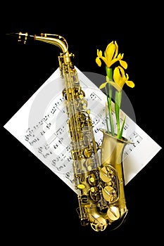Golden matte finished alto saxophone with yellow iris lilies on black background