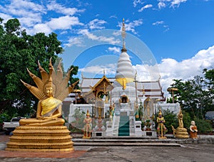 Golden meditated buddha statue with naga covered behind and white pagoda at Wat Phra That Doi Leng Temple on the Mountain with
