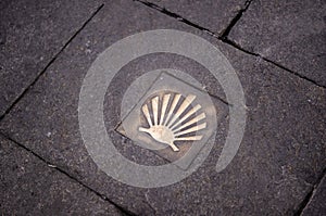 Golden metal shell, for pilgrims on the Camino de Santiago photo