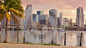 Golden Miami Skyline