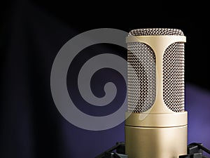 The Golden Microphone