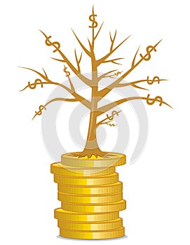 Golden money tree growing out from a coins photo
