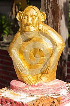 Golden monkey statue in thai temole