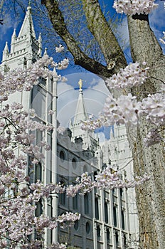 Golden Moroni from the salt lake city temple park