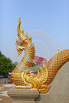 Golden naga statue at the temple stairs, The great serpent guardian of Buddha, wat Podhisomborn.