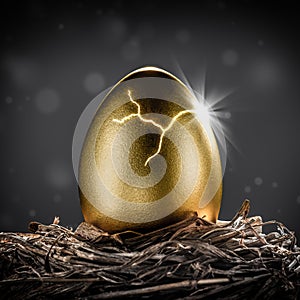 Golden Nest Egg Cracking Open With Burst Of Light