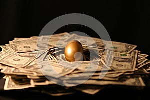 Golden Nest Egg of Money